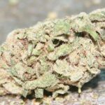 White-Widow-Strain-Marijuana